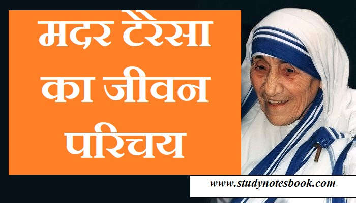 mother teresa short biography in hindi